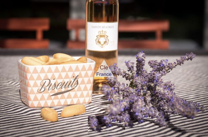 Splendid Former Farmhouse with Guest Gites, Cottages