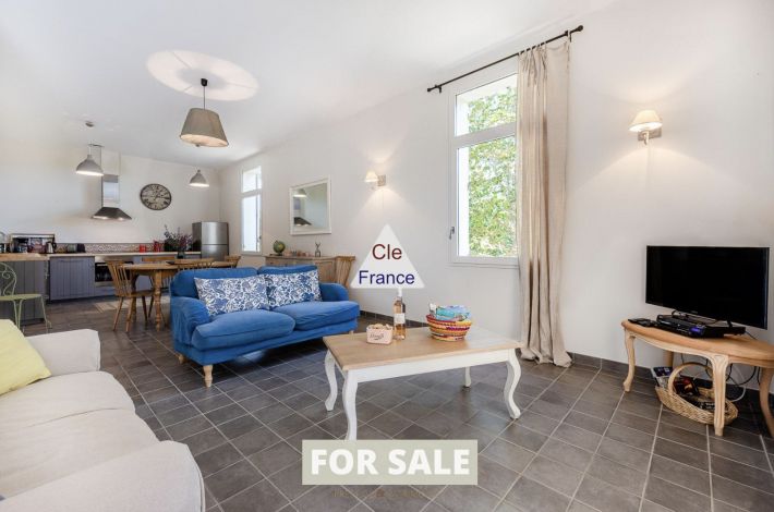 Splendid Former Farmhouse with Guest Gites, Cottages