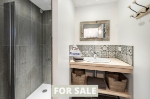 Splendid Former Farmhouse with Guest Gites, Cottages