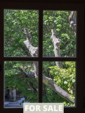 Detached Country House with Swimming Pool