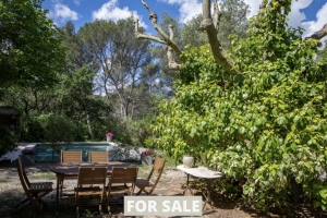 Detached Country House with Swimming Pool