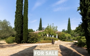 Beautiful Renovations and Original Character