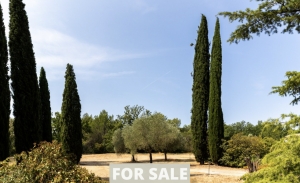 Beautiful Renovations and Original Character