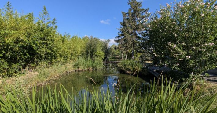 Charming and Cosy House with Bridge over Pond in Garden