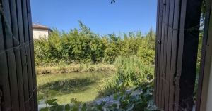 Charming and Cosy House with Bridge over Pond in Garden