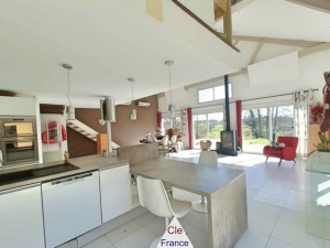 Two Country Houses with Pool and Land