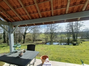 Two Country Houses with Pool and Land