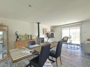 Two Country Houses with Pool and Land