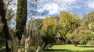 Architect Designed Uber Contemporary House