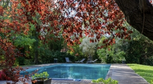 Architect Designed Uber Contemporary House