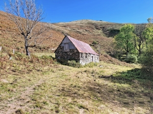Detached Barn to Renovate in Bucolic Location