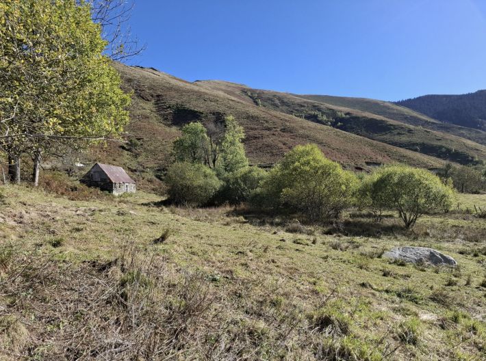 Detached Barn to Renovate in Bucolic Location