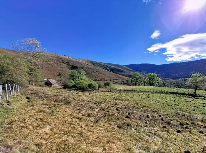Detached Barn to Renovate in Bucolic Location