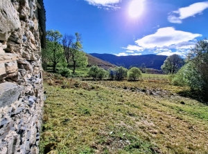 Detached Barn to Renovate in Bucolic Location