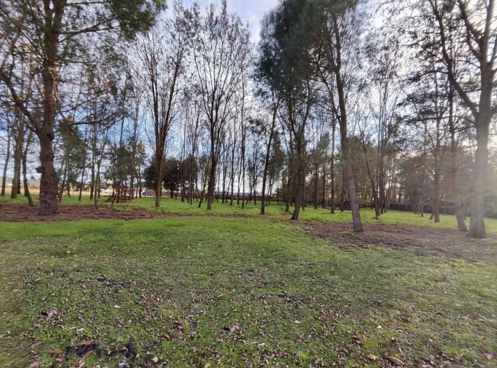 Detached Country House with Open Views