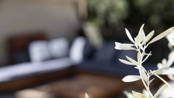 Delightful Town House with Lovely Garden