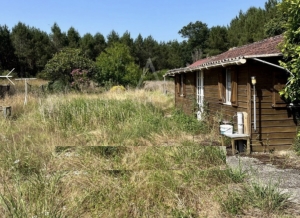 Two Independent Houses with Land