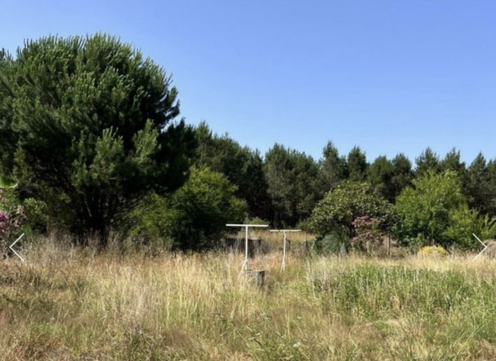 Two Independent Houses with Land