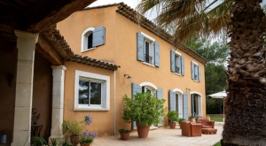 Detached Villa with Swimming Pool