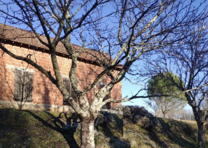 Countryside Barn to Renovate