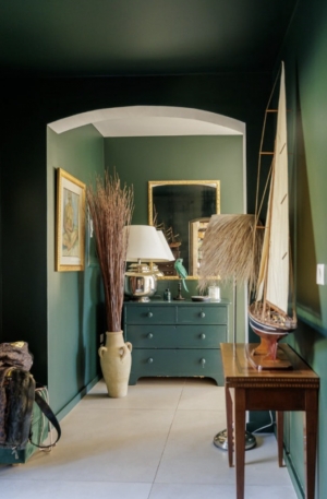 Detached Villa with Infinity Swimming Pool