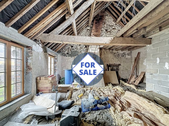 Detached Country House with Outbuilding