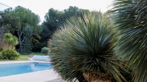 Stunning Manor House with Pool and Parkland Gardens