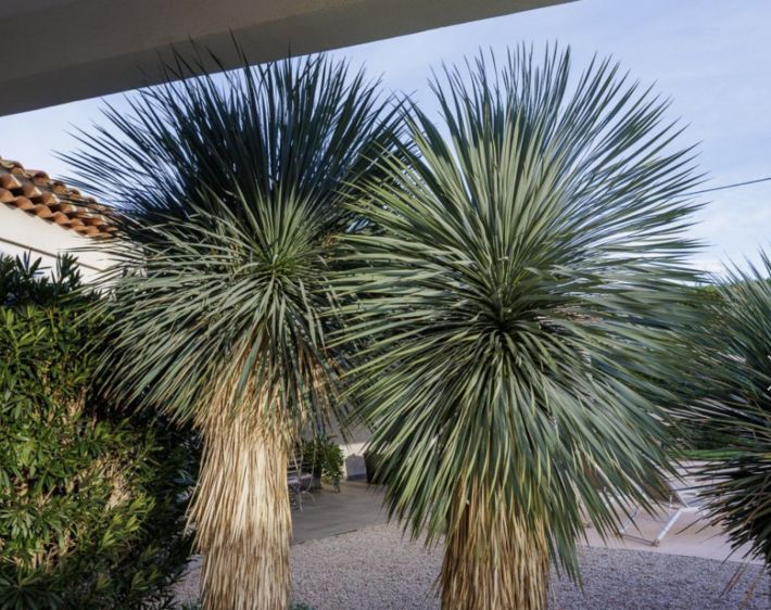 Stunning Manor House with Pool and Parkland Gardens