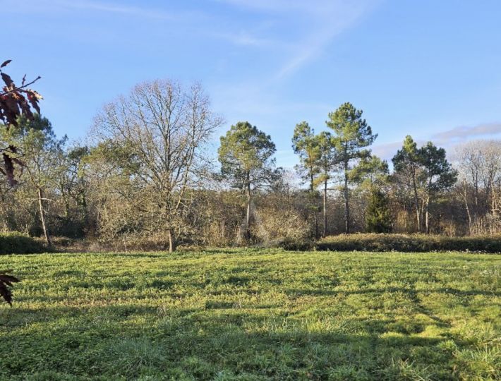 Country House with Guest Gite and Land