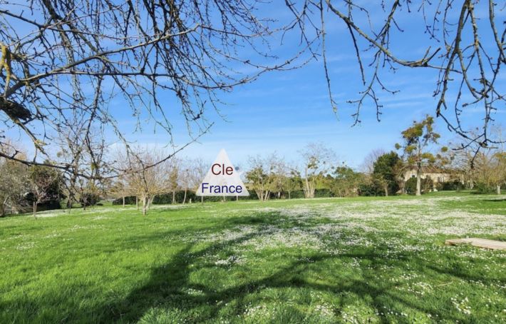 Manor House with Pool and Outbuildings