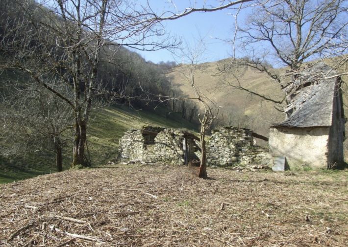 Barn on a Mountain Plateau with Exceptional Views