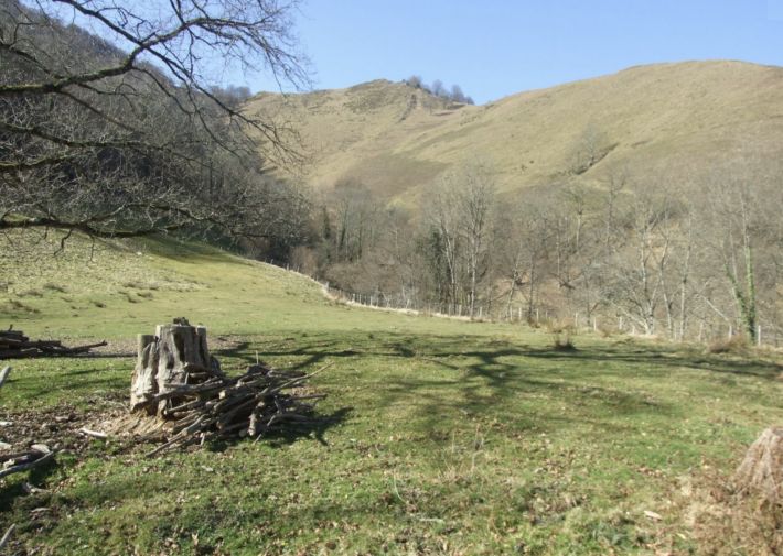 Barn on a Mountain Plateau with Exceptional Views