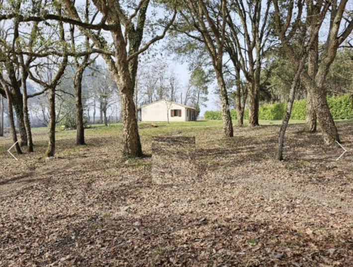 Detached House with Land and Lake