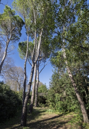 Manor House with Swimming Pool in Landscaped Gardens