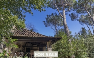 Manor House with Swimming Pool in Landscaped Gardens
