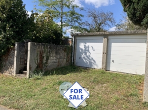 Detached House with Garden