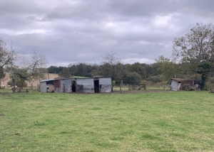 Collection of Barns to Renovate