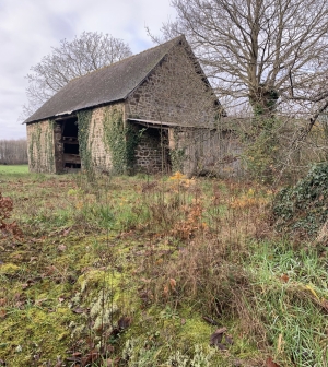 Habitable Country House with Outbuilding