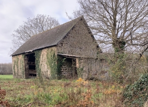 Habitable Country House with Outbuilding