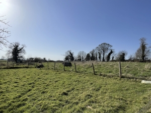 Former Diary Farm Complex in 2.45 Hectares of Land