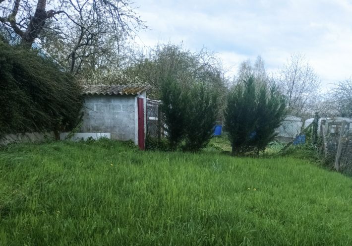 Main Photo