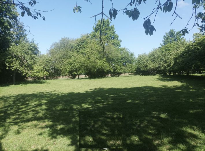 Former Farmhouse in Glorious Grounds and Countryside