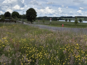 Building Plot For Sale