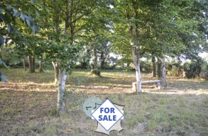 Detached Country House with Mature Garden