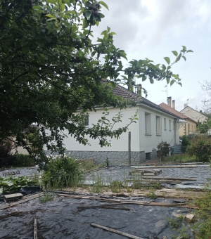Detached House with Garden
