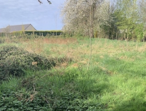 Building Plot For Sale