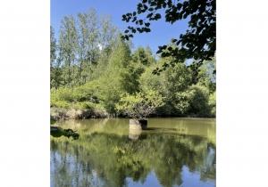 Leisure Land with Fishing Lake and Woodland