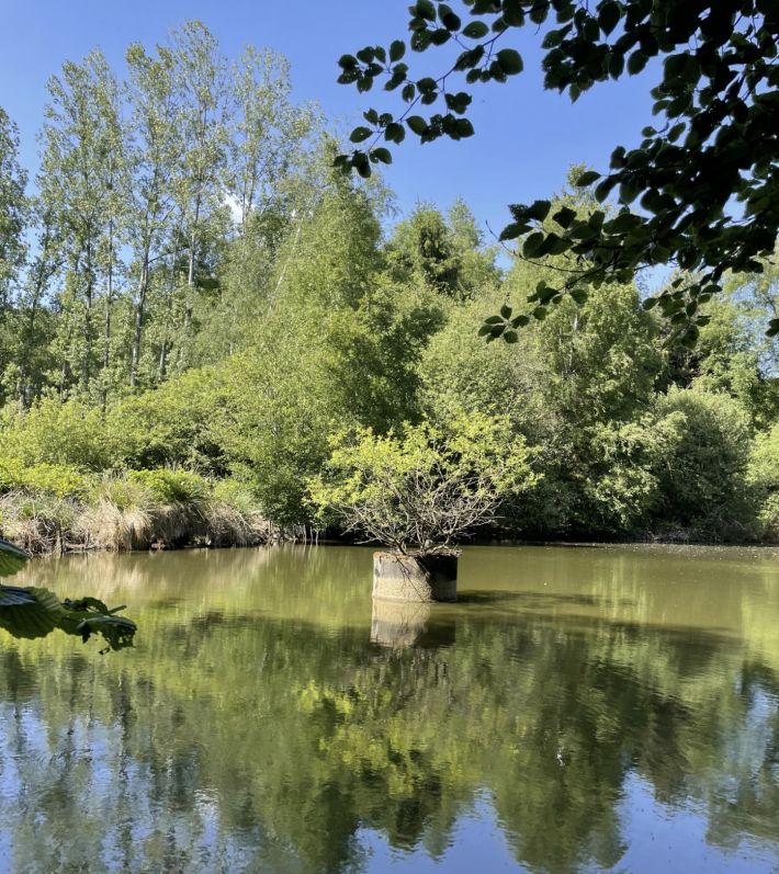 Leisure Land with Fishing Lake and Woodland