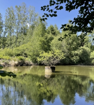 Leisure Land with Fishing Lake and Woodland