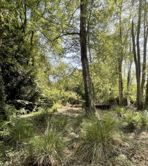 Leisure Land with Fishing Lake and Woodland